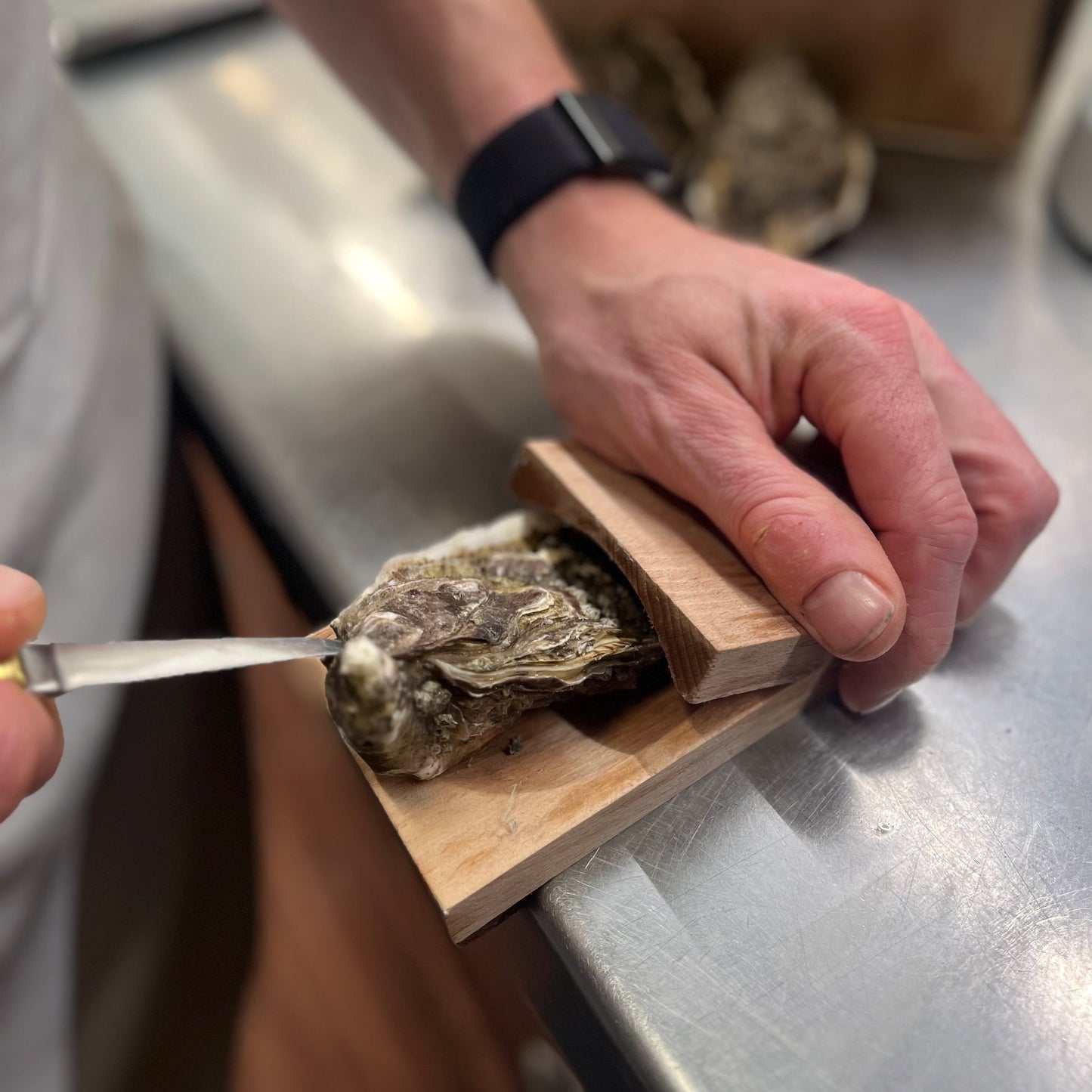 Oyster Shucking Clamp